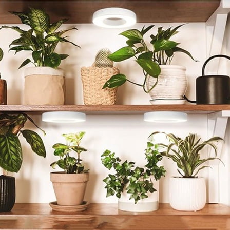 Full Spectrum 3/9/12H Timer Led Ceiling Grow Light For Indoor Plants Ceiling Grow Light (Tri Head)