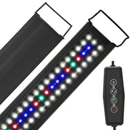 Lumica (Japan Chemical Luminescent) A20962 High Brightness LED Float