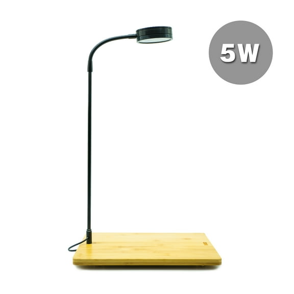 Full Spectrum LED Light with Bamboo Board, fits Aquarium Nano Tank, Betta Fish Tank, Potted Plants, Succulent, Miniature Landscape (5W)