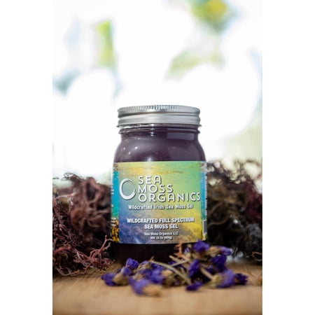Sea Moss Organics: Wildcrafted Full Spectrum Sea Moss Gel - Organic, 16 oz