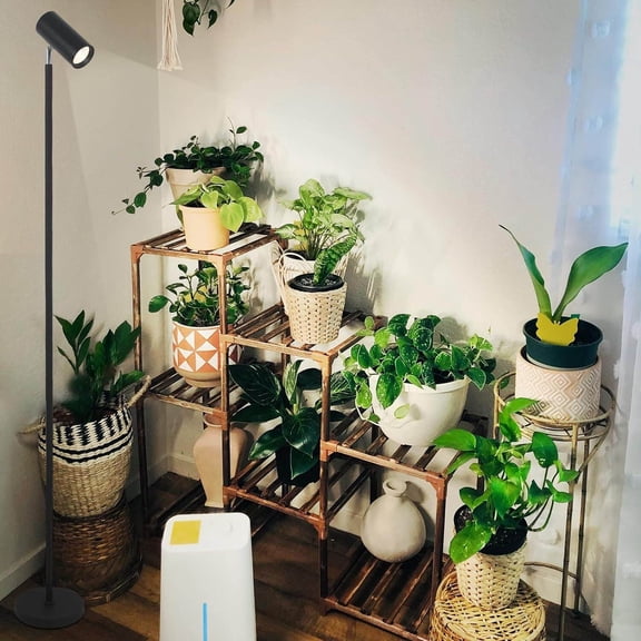 Full Spectrum Tall Plant Light for Indoor Growing, 20W COB LED Grow Light Stand with 4/8/12H Timer, 6-Level Height Adjustable Floor Lamp for Large Plants Seedling, Black Metal