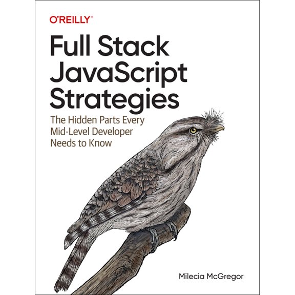 Full Stack JavaScript Strategies: The Hidden Parts Every Mid-Level Developer Needs to Know, (Paperback)