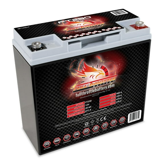 Full Throttle FT230 AGM Battery