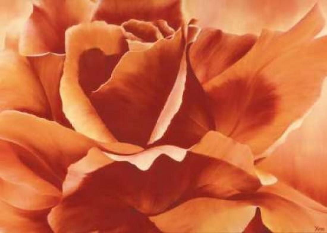 Full in bloom II Canvas Art - Yvonne Poelstra-Holzhaus (20 x 28)