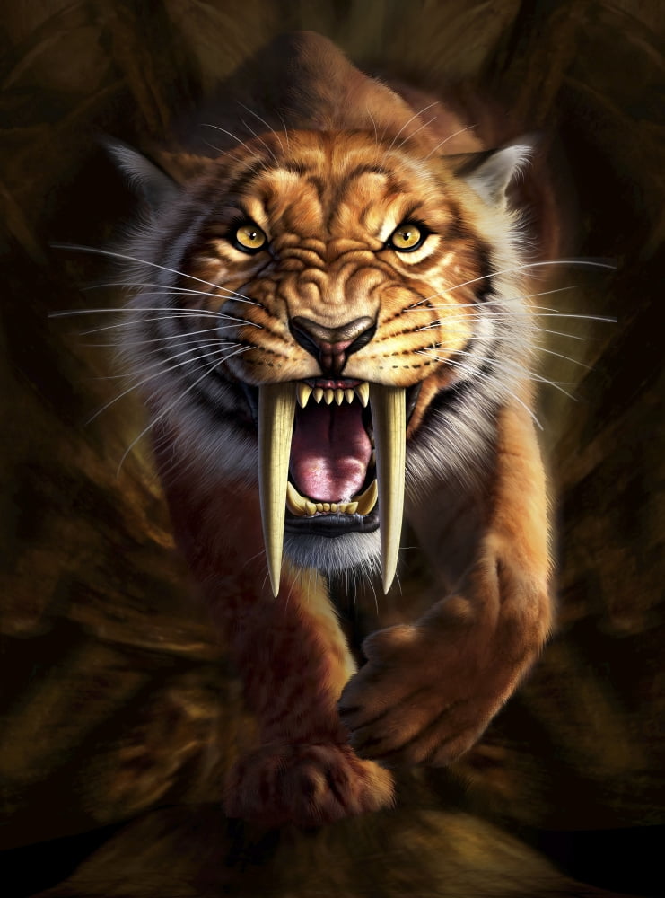Full on view of a Saber-toothed Tiger Canvas Art - Jerry LoFaroStocktrek Images (13 x 17)