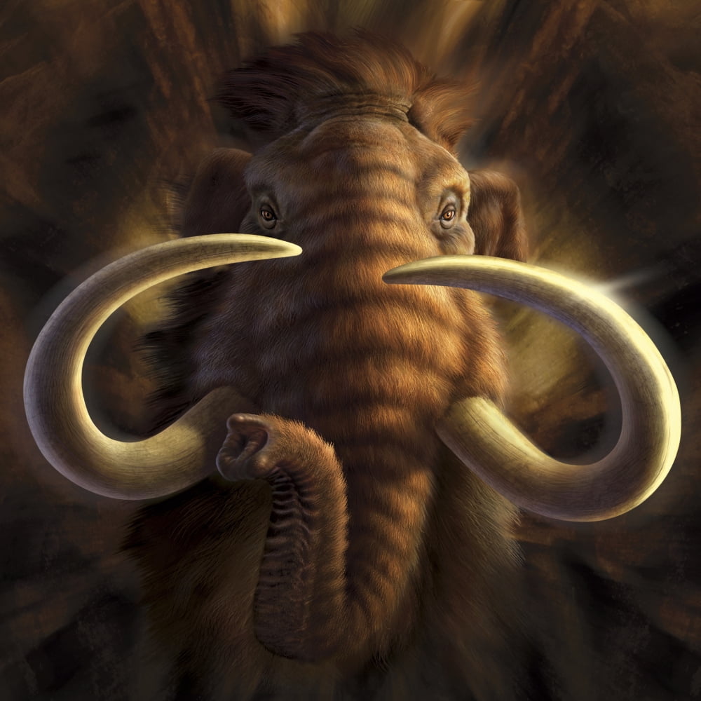Full on view of a Woolly Mammoth Canvas Art - Jerry LoFaroStocktrek Images (29 x 29)