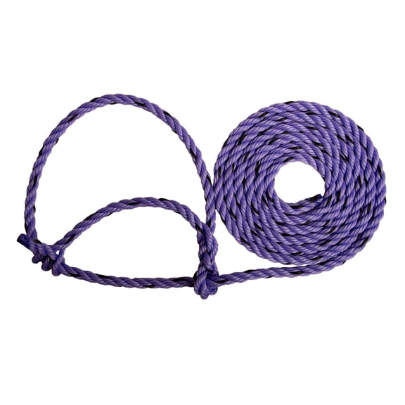Fully Adjustable Heifer and Cow Halter, Lavender w/ Black Tracer