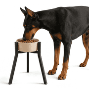 Fully Adjustable Single Raised Dog Feeder for Large Dogs, Elevated Bowl Stand (Bowl Not Included)