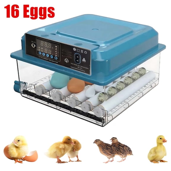 Fully Automatic 16-Egg Incubator Dual Power 110V/12V with Auto Turning, Temperature Control, Adjustable Tray, Egg Candler – for Chicken Duck Goose Quail