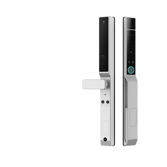 Fully Automatic 3D Face Recognition Fingerprint Smart Lock for Broken Bridge Aluminum Courtyard Door ,Easy DIY Installation