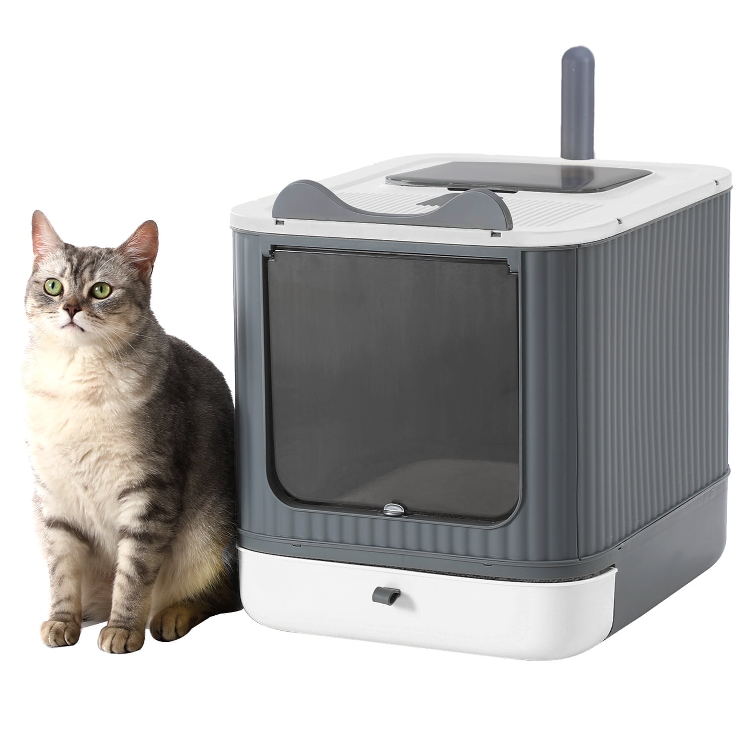 KittyGoHere, Senior Cat Litter Box, 24"x20"x5", Lavender Large - Walmart.com