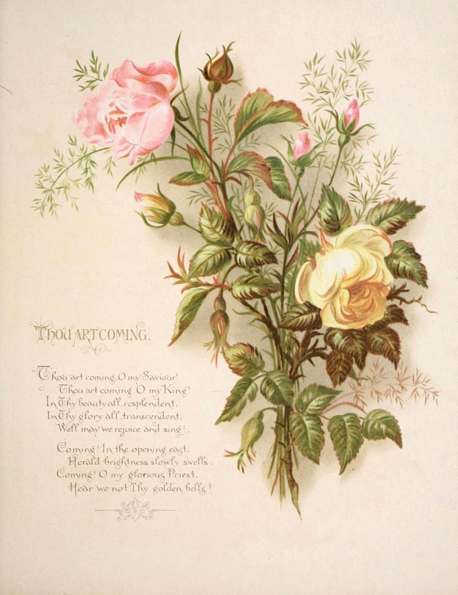 Fulness of Joy 1886 Thou art coming Canvas Art - Frances Ridley Havergal (18 x 24)