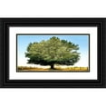 thumbnail image 1 of Fulvio, Ferrua 18x11 Black Ornate Wood Framed with Double Matting Museum Art Print Titled - Un secolo di tramonti, 1 of 4