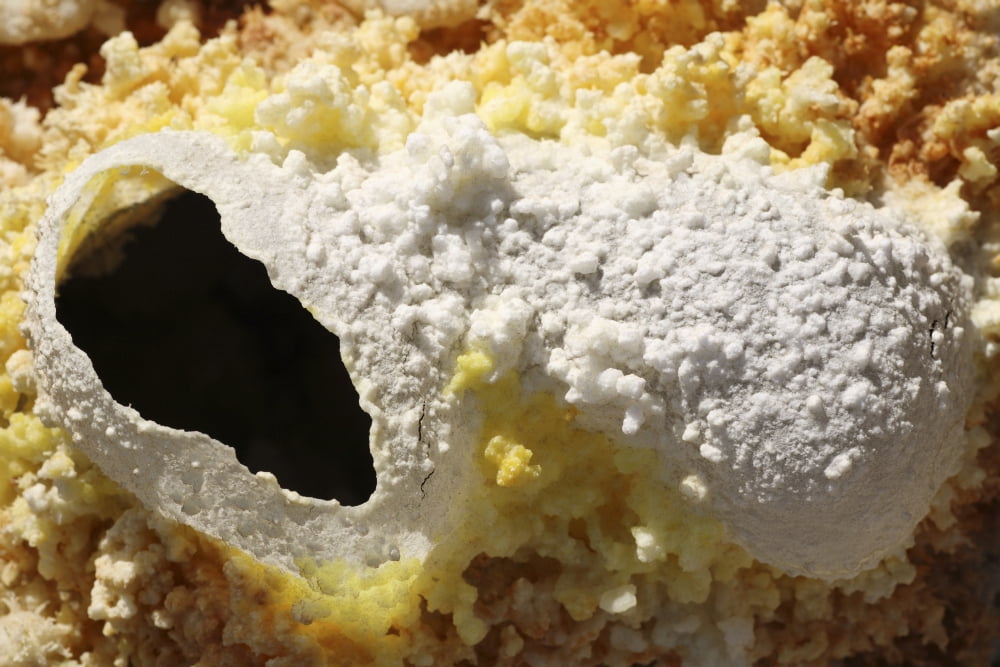 Fumarole deposits in the Dallol geothermal area Danakil Depression Ethiopia Canvas Art - Richard RoscoeStocktrek Images (18 x 12)