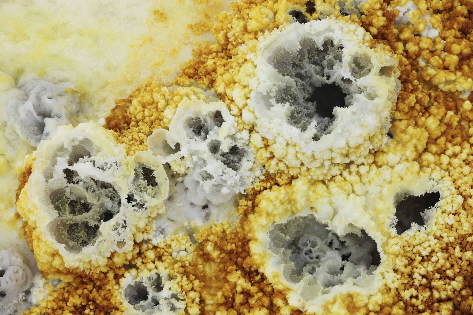 Fumaroles in potassium salt deposits Dallol geothermal area Danakil Depression Ethiopia Canvas Art - Richard RoscoeStocktrek Images (18 x 12)