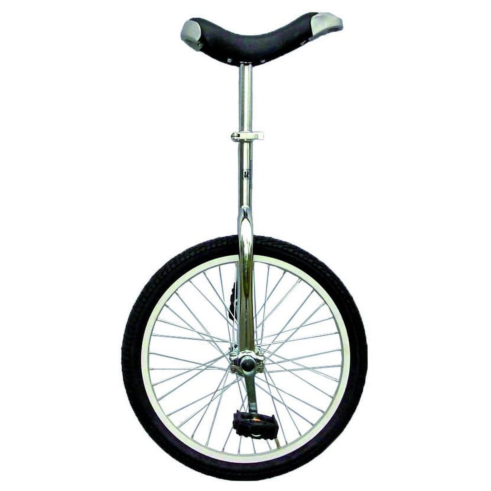 Fun 20 inch Unicycle with Alloy Rim, Chrome - image 1 of 5
