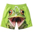 thumbnail image 1 of Fun 3D Animal Face Print Mens Casual Shorts Elastic Drawstring Loose Summer Beach Shorts, 1 of 4