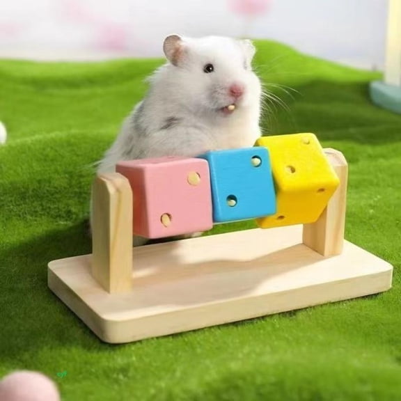 Fun Cube Hamster Toys Solid Wood Teeth Grinding Supplies Golden Bear Chinchilla Guinea Pig Toy Accessories
