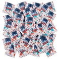 thumbnail image 1 of Fun Express 12.5 oz. Patriotic USA 250th Anniversary Handout Mini Candy Bags - 50 Pc., 1 of 1