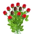 thumbnail image 1 of Fun Express 12 Pieces Milk Chocolate Roses Bouquet, 1 Dozen Red Foil Wrapped, 14 Inch Candy Flowers, Mother's Day, Valentine's Day, 1 of 6