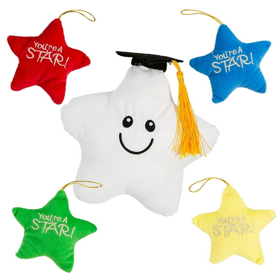 Fun Express 24 Pieces Graduation Autograph Star & Stuffed Stars Gift Assortment Kit for 24
