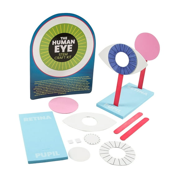 Fun Express 8" x 8 1/2" STEM Human Eye Activity Learning Challenge Craft Kit - Makes 12