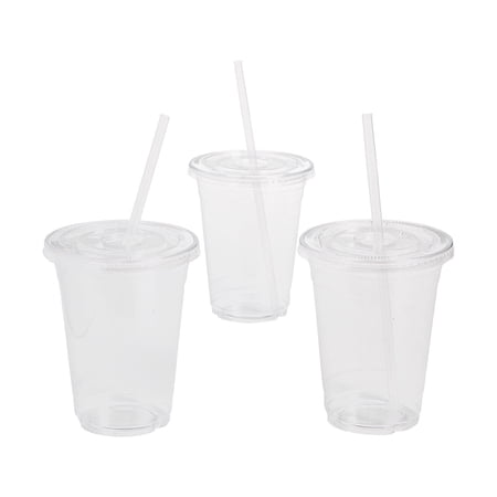 Fun Express Clear Plastic Cups with Lids & Straws 24 Pieces