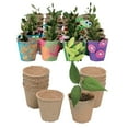 thumbnail image 1 of Fun Express DIY Watch It Grow Seed Pots - 96 Pc, 1 of 3
