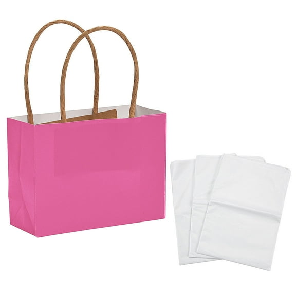 Fun Express Kraft Paper Gift Bags and Tissue Paper Kit Mini Hot Pink 4 1/2" x 3 1/4" - 72 Pc