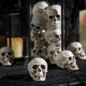 Fun Express Mini Halloween Plastic Skull Head Decorations 2 1/2", 12 Pc.