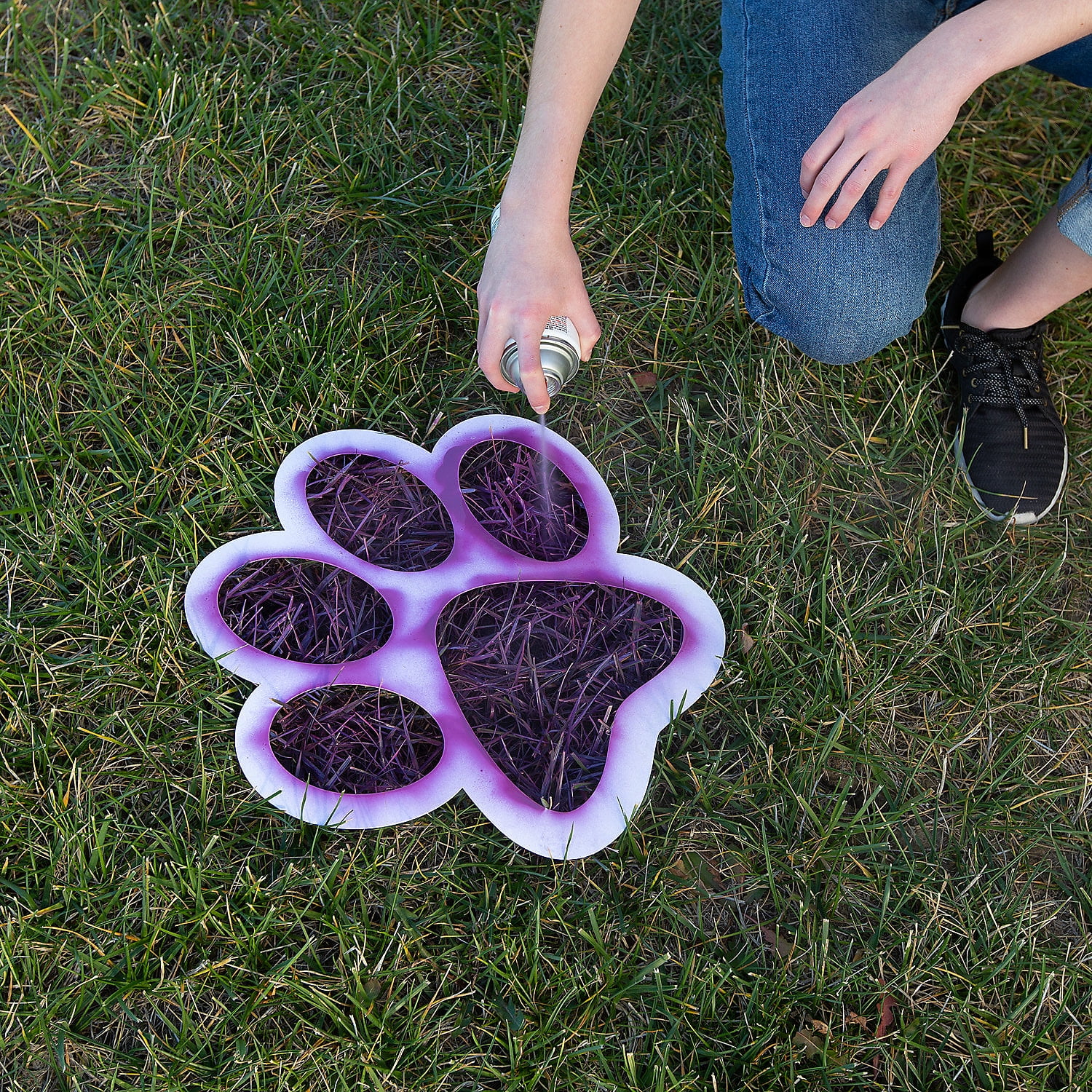 Fun Express Paw Print Yard Stencils 2 Pc