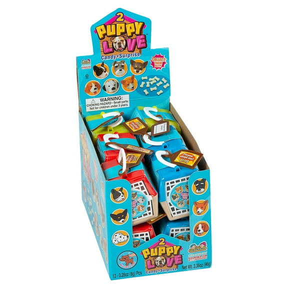 Fun Express Puppy Love Candy Surprise Toys, 3.36 oz, 12 Pieces
