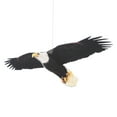 thumbnail image 1 of Fun Express Railroad VBS 3D Hanging Eagle Decorations – Vibrant & Detailed Party Decor for Vacation Bible School Themed Events and Special Celebrations – Eye-Catching Design – 6 Pieces, 1 of 1