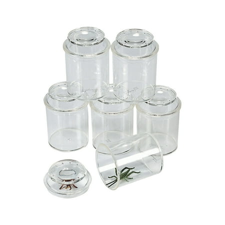 Fun Express See-Through Bug Boxes for Kids – Educational Insect Observation Containers – Perfect for Science Learning Outdoor Exploration Nature Discoveries and Creative Play – 10 Pieces