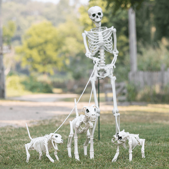 Fun Express Skeleton Dog Walker Halloween Decorating Kit - 4 Pc