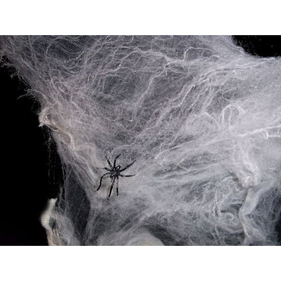 Fun Express Stretchable Spider Web with Spider