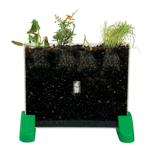 Fun Express Watch It Grow Plant Viewer, Educational and Learning Activities for Kids