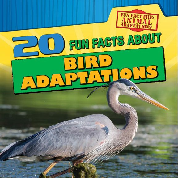 Fun Fact File: Animal Adaptations: 20 Fun Facts about Bird Adaptations (Hardcover)