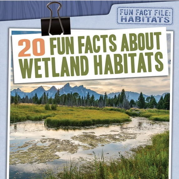Fun Fact File: Habitats: 20 Fun Facts about Wetland Habitats (Paperback)