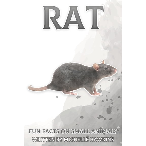 Fun Facts on Small Animals Rat: Fun Facts on Small Animals #4, (Paperback)