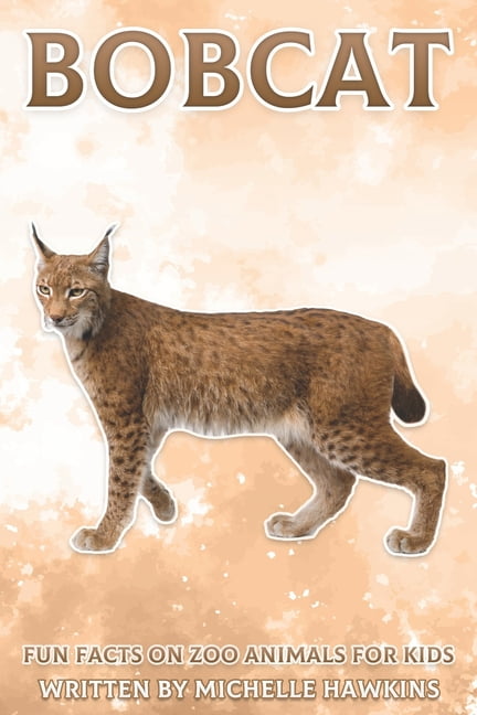 25 Facts About Bobcats