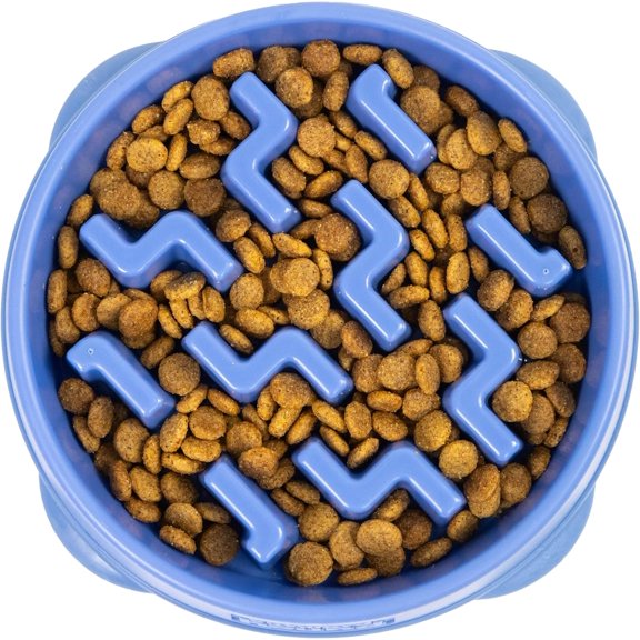 Fun Feeder Slo Bowl Medium 2Cup Capacity, Slow Feeding, Small to Medium Dogs & Cats, Non-Slip, Blue, Notch Pattern