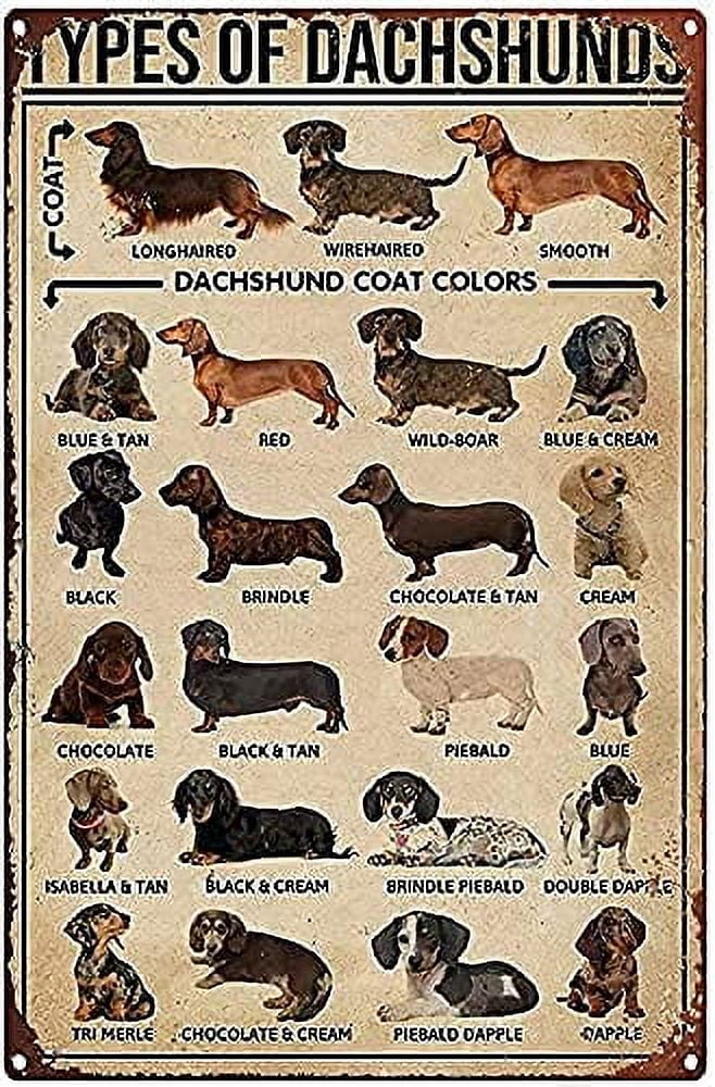 Funny Farm Friends Jigsaw Puzzles 1000 Pieces – Puzzle