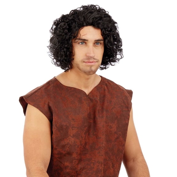Fun Shack Adults Medieval Wig Mens Curly Black Hair Historical Costume Accessory
