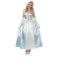 Fun Shack Womens Princess Costume Ladies Fairy Tale Royal Gown Book
