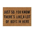 thumbnail image 1 of Fun Slogan Door Mat House Warming Gift Personalized Doormats Coir Mat‘JUST SO YOU KNOW,THERE'S LIKE,A LOT OF BOYSIN HERE’Welcome Entrance Mat 16''x24'' Summer Door Mats for Front Porch Indoor Home, 1 of 7
