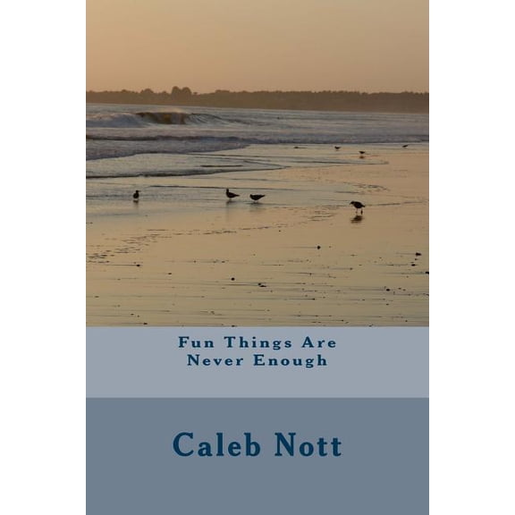 Fun Things Are Never Enough Paperback 1725082195 9781725082199 Caleb Nott