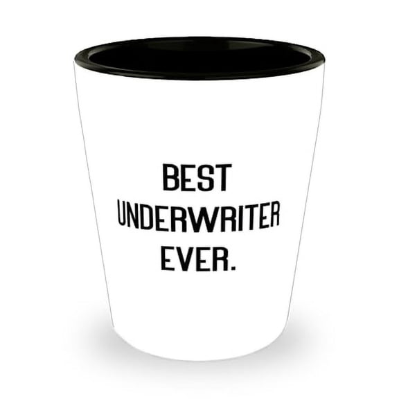 Fun Underwriter Shot Glass, Best Underwriter Ever, Present For Coworkers, Motivational Gifts From Team Leader, Unique gift ideas, Inexpensive gift ideas, Handmade gift ideas, Personalized gift ideas,