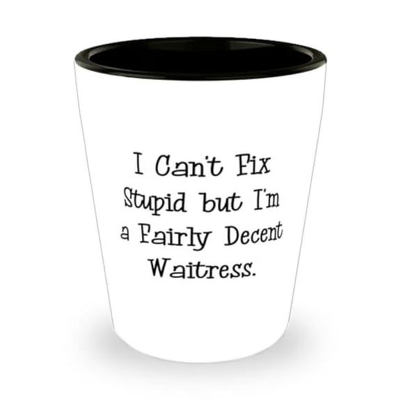 Fun Waitress Gifts, I Can't Fix Stupid but I'm a Fairly Decent, Surprise Shot Glass For Coworkers, Ceramic Cup From Team Leader, Gifts for servers, Gifts for waitresses, Gifts for bartenders, Thank