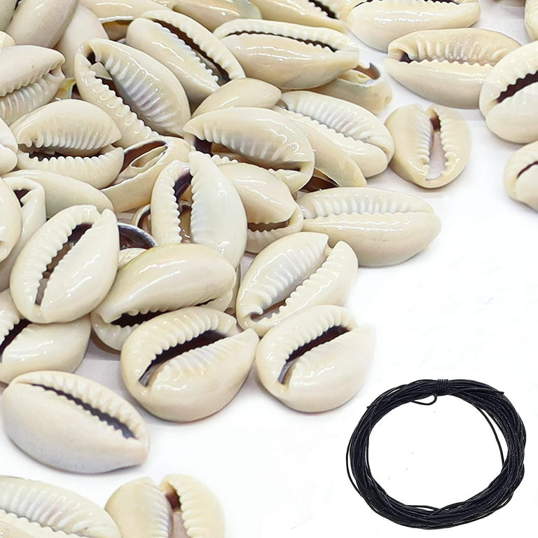 Fun-Weevz 150 Genuine Cowrie Shells for Jewelry Making Adults, 0.7-1.0 Inch  Natural Smooth Cut Cowrie Shell Beads for Necklace and Bracelet 